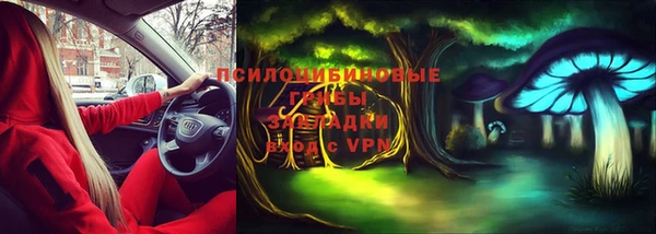 амф Алексин