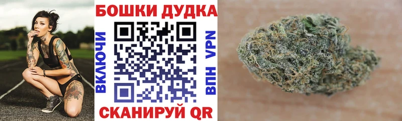 Конопля White Widow  ссылка на мегу tor  Бокситогорск  что такое  